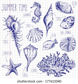 hand-drawn shells and fish