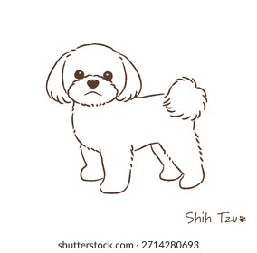 Desenhado à mão Shih Tzu linha desenho_vetor ilustração