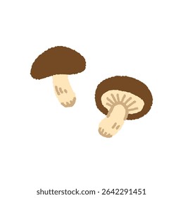 Hand-Drawn Shiitake Mushroom – Simple Illustration