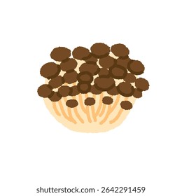 Hand-Drawn Shimeji Mushrooms – Simple Illustration