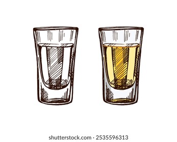 Vaso de chupito dibujado a mano con tequila. Elemento de diseño para el menú de bares y restaurantes, tiendas de alcohol. Ilustración de boceto de Vector en estilo de grabado. Mexicano, Latina América.