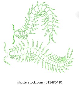 hand-drawn  silhouette of centipede, logo design. vector illustration