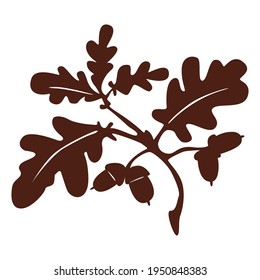 Hand-drawn silhouette oak leaves and acorns drawing isolated on white background. Vector flat botanical illustration. Design for card, pattern, textile