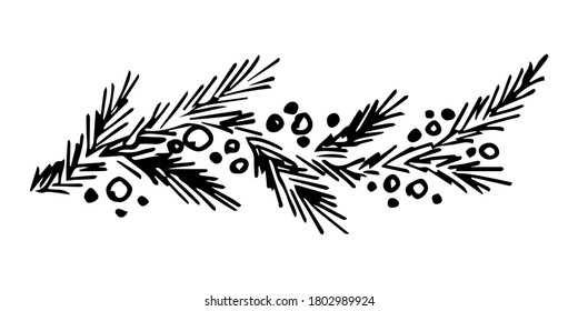 Hand-drawn simple black and white vector sketch. Pine, spruce branch, berries. For festive New Year, Christmas design, postcards, labels.
