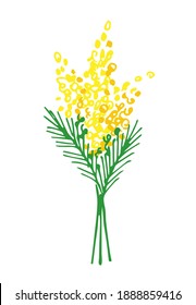 Handgezeichnete, einfache Vektorgrafik. Frühlingsblumen, Mimosa-Bouquet einzeln auf weißem Hintergrund. Für Postkartenabdrücke, 8. März, Muttertag, Ostern.