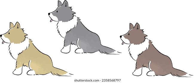 Hand-drawn simple cute border collie illustration sitting