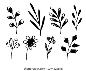 Hand-drawn simple doodle vector black and white drawing. Floral set, flowers, twigs, leaves isolated on white background. Elements of nature for creating a pattern, decorating.