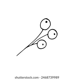 Hand-drawn simple floral branch. Twig with berries.  Doodle element, isolated on white background 