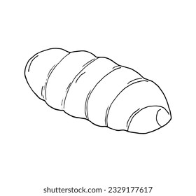 Hand-drawn simple rolled bun isolated vector illustration on white
