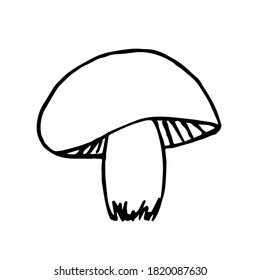 Hand-drawn simple vector drawing in black outline. Edible mushroom isolated on white background. For prints, forest plant, labels, ingredient, recipe, menu, vegetarian.