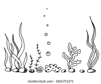Hand-drawn simple vector drawing in black outline. Underwater world, seaweed, aquarium. Ocean, seabed. For prints, labels, seafood, fishing gear.