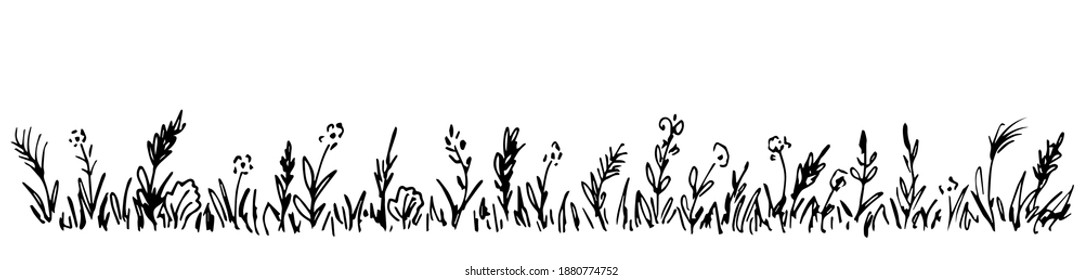 Hand  drawn simple vector drawing in black outline  Wild meadow grasses  wildflowers  spikelets  inflorescences  Lawn  herbal plants  long banner 