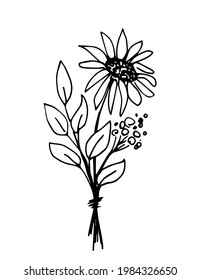 Hand-drawn simple vector drawing in black outline. Autumn summer bouquet, sunflower, aster, chamomile, branches with leaves. Ink sketch.