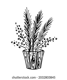 Hand-drawn simple vector drawing in black outline. Pine, spruce branch, berries in a wood pots. For New Years, Christmas festive designs.