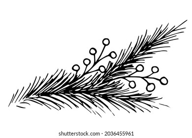 Hand-drawn simple vector drawing in black outline. Pine, spruce branch, berries. For the festive New Year, Christmas design, postcards, labels.