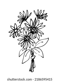 Dibujo de vector simple dibujado a mano en contorno negro. Buqué de verano de otoño, girasol, yeso, camomila, ramas con hojas. Esbozo de tinta.