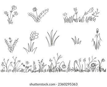 Hand-drawn simple vector drawing in black outline. Wild meadow grasses, wildflowers