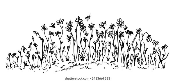 Hand-drawn simple vector drawing in black outline. Wild meadow grasses, wildflowers, spikelets, inflorescence. Meadow line with grass and flowers. Lawn, herbal plants, long banner.