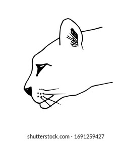 Hand-drawn simple vector illustration in black outline. Puma head contour side view isolated on a white background. Wild predatory animals, cat breed, nature, zoo. For t-shirt prints, logo, sticker.