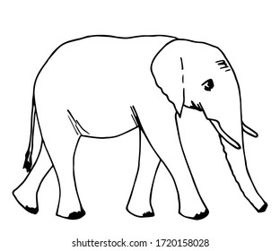 Hand-drawn simple vector illustration in black outline. Big elephant in full growth side view. Wild animal, jungle, safari, zoo, nature. Sketch in ink. For prints, children's coloring.