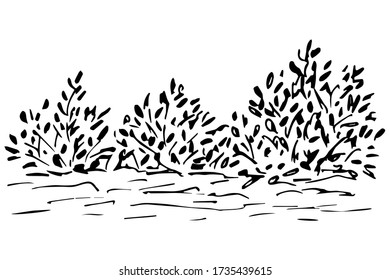 Hand-drawn simple vector illustration with black outline. Element of nature, vegetation, bushes, trees, plants. Landscape, summer.