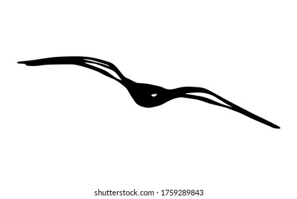 Hand-drawn simple vector illustration in black outline. Silhouette of a seagull soaring in the sky isolated on a white background. Flying bird. Nature, coast, ornithology.