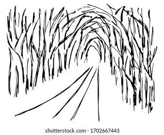 Hand  drawn simple vector sketch and black outline  Landscape  nature  road  path through dense  overgrown forest  alley dark trees  tunnel  light at the end 