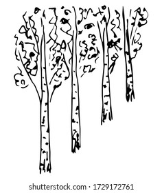 Hand-drawn simple vector sketch. A row of trees, an alley, a birch grove.