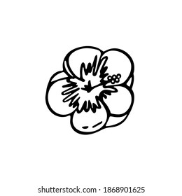 Hand-drawn single element hibiscus. Beautiful exotic flower isolated on white background. Vector illustration.