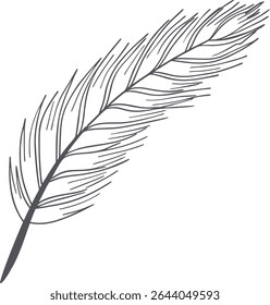 Hand-drawn single feather outline in minimal black line style on white background. Elegant nature-inspired sketch illustration for stationery, branding, and digital design use.