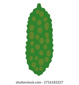 Ilustración de icono único dibujado a mano Vegetal Melón amargo