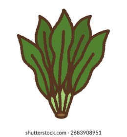 Ilustración de icono único dibujado a mano Verduras Espinaca