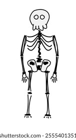 Hand-Drawn Skeleton Illustration. This illustration features a stylized, simplistic skeleton with a playful design, perfect for educational purposes.