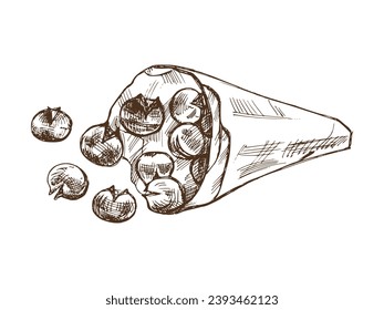 Hand-drawn sketch of baked chestnuts in a paper bag. Vector food drawing. Traditional Christmas. Illustration for packaging, label, recipe, menu. 