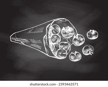 Hand-drawn sketch of baked chestnuts in a paper bag on chalkboard background. Vector food drawing. Traditional Christmas. Illustration for packaging, label, recipe, menu. Vintage holiday design. 