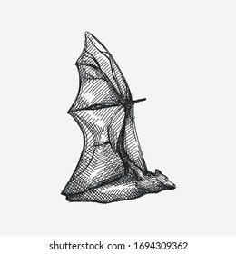 Hand-drawn sketch of a bat while flying. Flying bat. Bat opening its wings. Chiroptera. Bat front view
