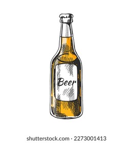 Hand-drawn sketch of  beer bottle  isolated on white background. Vector vintage engraved illustration.