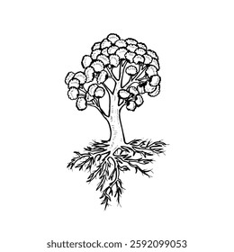 Hand-drawn sketch of a big tree with visible roots, vector nature logo.