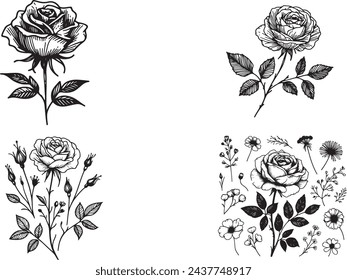 Hand-drawn sketch of a botanical flower