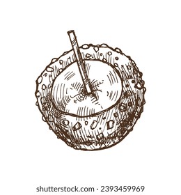 Hand-drawn sketch of Candy Taffy apples with nut sprinkles. Vector food drawing. Traditional Christmas, Halloween dessert. Illustration for packaging, label. Vintage holiday design.