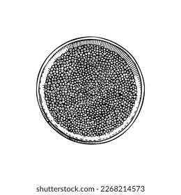 Hand-drawn sketch of canned caviar isolated on a white background. Black caviar in opened tin can vector drawing in engraved style. Seafood delicacy illustration for restaurant or finger food menu