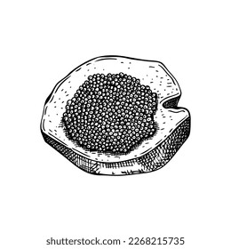 Hand-drawn sketch of caviar on a bread slice isolated on a white background. Black caviar canape vector drawing in engraved style. Seafood delicacy illustration for restaurant or finger food menu