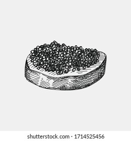 Hand-drawn sketch of caviar on a small bread slice on a white background. Black caviar. Sea food. Caviar for a snack. Caviar canapé 