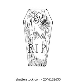 A hand-drawn sketch of a coffin with a skull. Vector vintage illustration. Drawing with an ink pen. Vector illustration of Halloween.