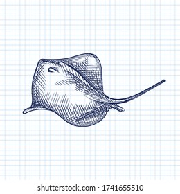 Hand-drawn sketch of Crampfish drawn with blue pen on a white background. Ocean life. Underwater creatures. Aquarium plants and animals