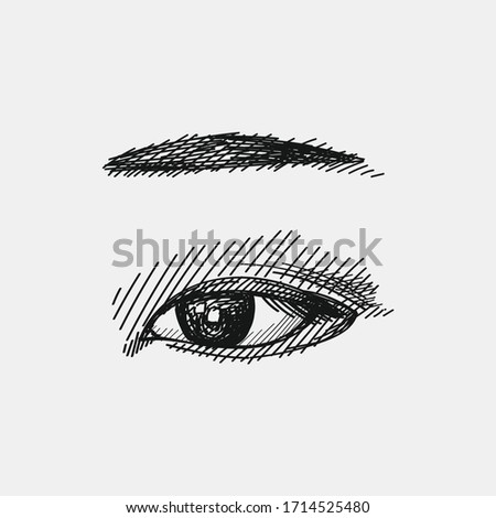 Hand-drawn sketch of eye and eyebrow. Eye and eyebrow make traditional japanese style. Japanese women appearance attributes. Japan culture. Traditional accessories, clothing and makeup in Japan.