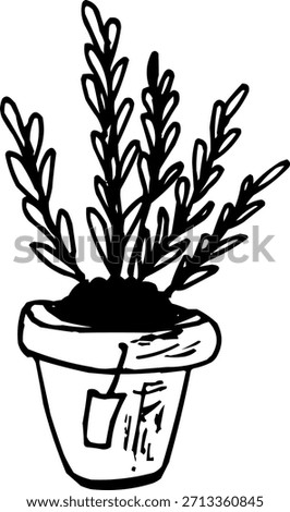 Hand-Drawn Sketch Flower Pot with Growing Plant Outline