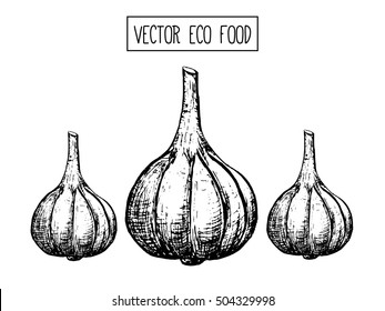 Hand-drawn Sketch Garlic, Vector Icon, Isolated On White