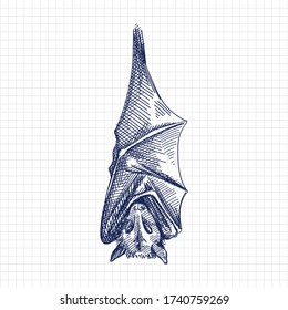 Hand-drawn sketch of a hanging bat upside down. Flying and hanging bat. Bat hanging with closed wings. Chiroptera. Bat front view	
