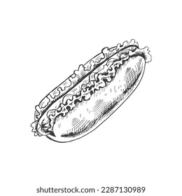 Hand-drawn sketch of  hot dog isolated on white background. Fast food illustration. Vintage drawing. Element for the design of labels, packaging and postcards.